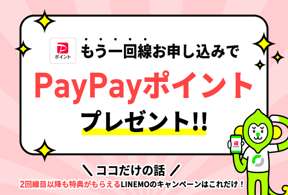 追加申込でPayPayポイント3,000円相当プレゼントキャンペーン