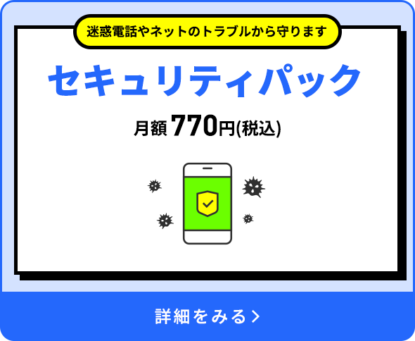 セキュリティパックプレミアム（L）