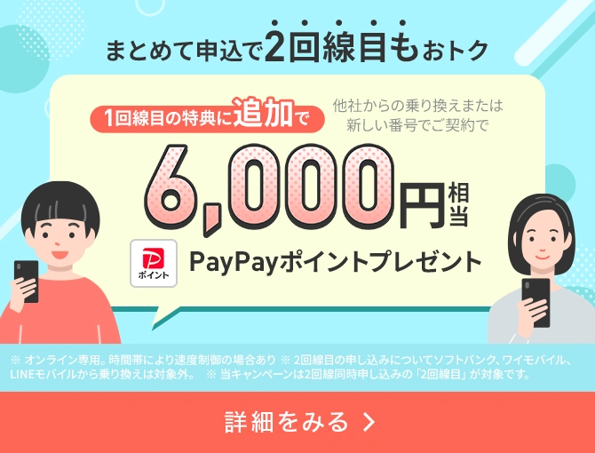 2回線まとめて申し込みでPayPayポイントプレゼントキャンペーン