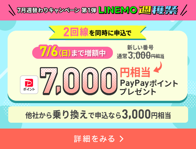 2回線まとめて申し込みでPayPayポイントプレゼントキャンペーン