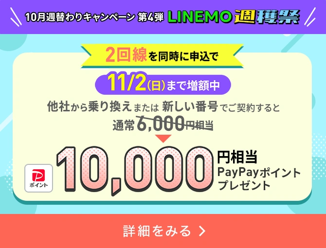 2回線まとめて申し込みでPayPayポイントプレゼントキャンペーン
