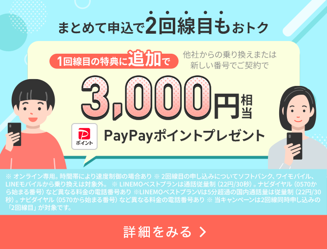 2回線まとめて申し込みでPayPayポイントプレゼントキャンペーン