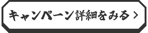 キャンペーン詳細をみる