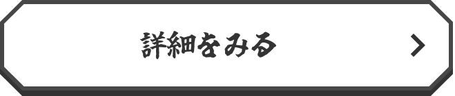 詳細をみる