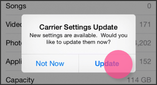 4. Wait for a few seconds and 'Carrier Settings Update' will pop up. Then select 'Update'