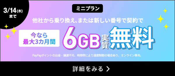 ミニプラン基本料最大3カ月間実質無料キャンペーン