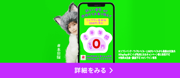 ミニプラン基本料 最大半年間実質無料キャンペーン提供条件書