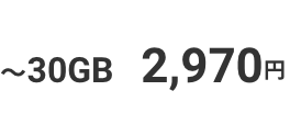 ~30GB 2,970円
