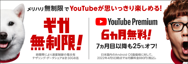 ギガを気にせず使いたい方は