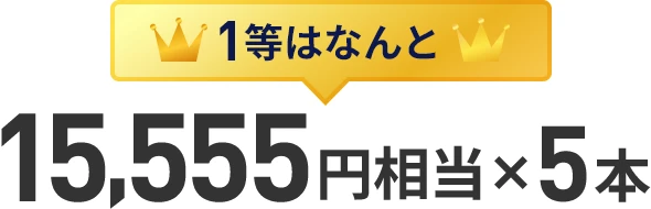 1等はなんと15,555円相当×5本