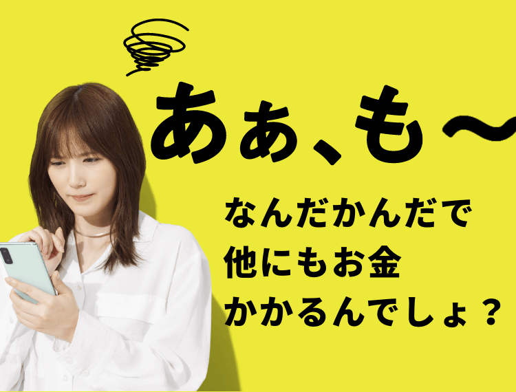 あぁ、なんだかんだで 他にもお金 かかるんでしょ？