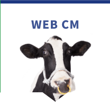 WEB CM