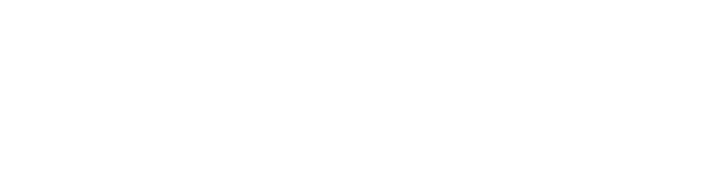 +オプション（それぞれのプランに適用）