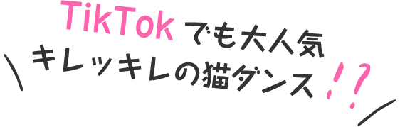 TikTokでも大人気 キレッキレの猫ダンス！？