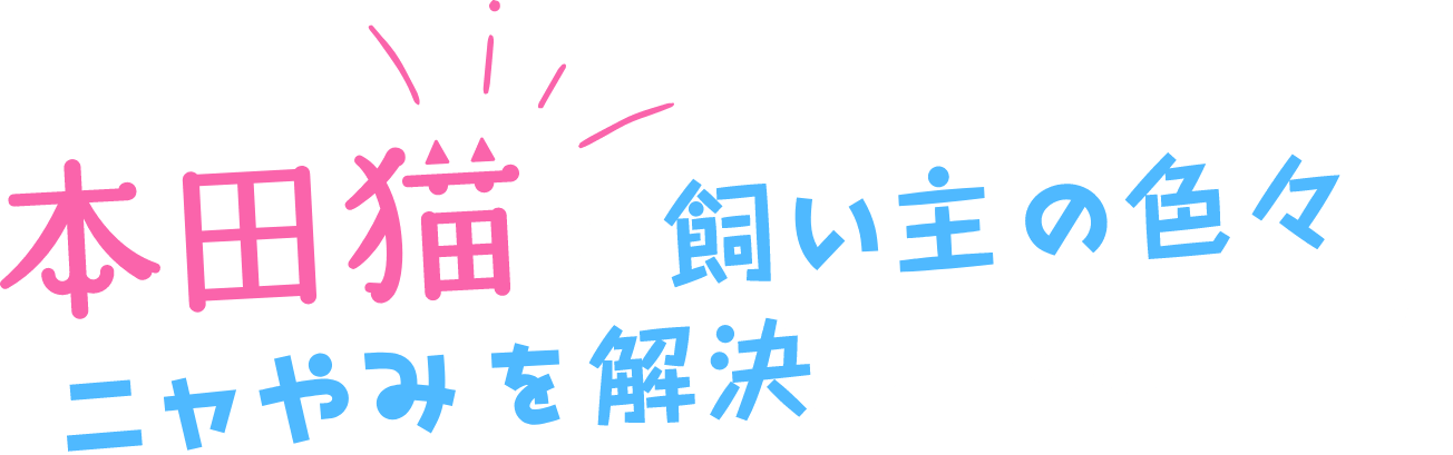 本田猫が飼い主の色々なニャやみを解決してくれます!