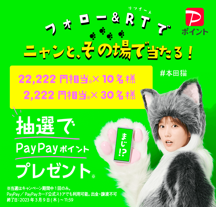 本田猫と遊ぼう！Twitter キャンペーン
