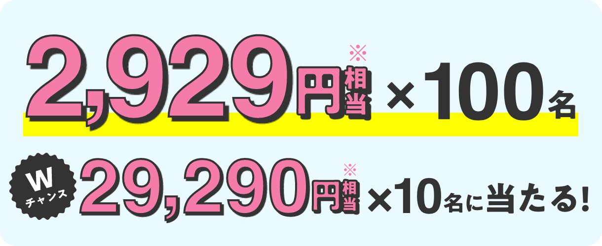 2,929円相当 x 100名