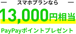 13,000円相当PayPayポイントプレゼント