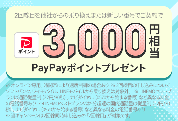2回線目は基本料2カ月目まで無料 他社からの乗り換えまたは新しい番号でご契約で
