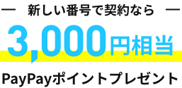 新しい番号で契約なら 3,000円相当PayPayポイントプレゼント