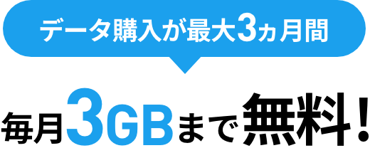 データ購入が最大3カ月間 毎月3GBまで無料！