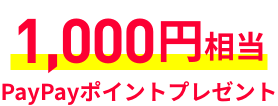 1,000円相当PayPayポイントプレゼント