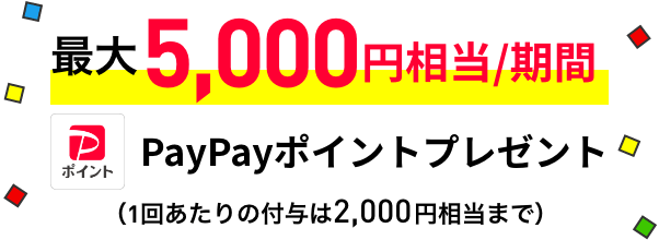 ミニプラン 最大5,000円相当/期間 PayPayポイントプレゼント（1回あたりの付与は2,000円相当まで）