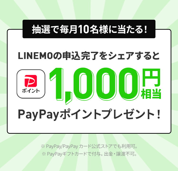 期間中に応募された応募者のうち、毎月抽選で10名様にPayPayポイント1,000円相当をプレゼントいたします。