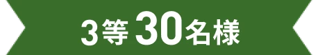 3等30名様