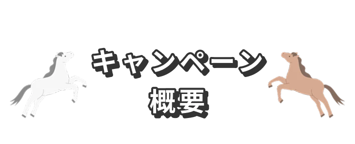 キャンペーン概要