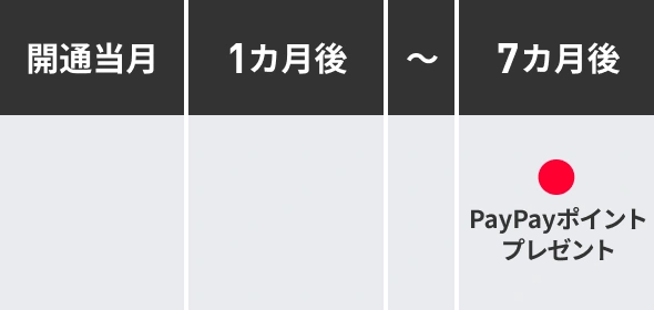 開通日の属する月の7カ月後の上旬に付与予定。