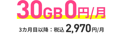 30GB毎月0円 3カ月目以降は毎月2970円