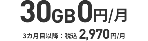 30GB毎月0円 3カ月目以降は毎月2970円