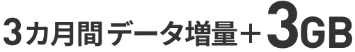 3カ月間データ増量+3GB