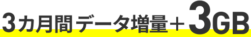 3カ月間データ増量+3GB