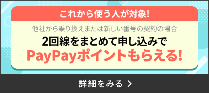 2回線まとめて申し込みでPayPayポイントプレゼントキャンペーン