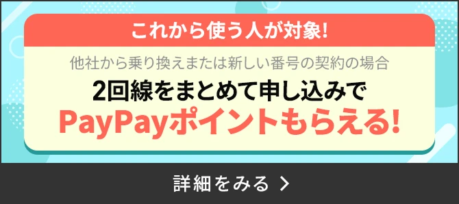 2回線まとめて申し込みでPayPayポイントプレゼントキャンペーン