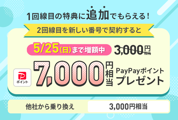2回線まとめて申し込みでPayPayポイントプレゼントキャンペーン