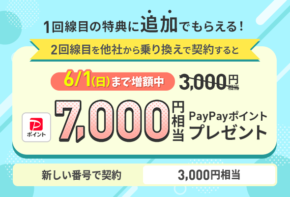 2回線まとめて申し込みでPayPayポイントプレゼントキャンペーン