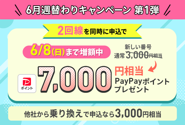 2回線まとめて申し込みでPayPayポイントプレゼントキャンペーン