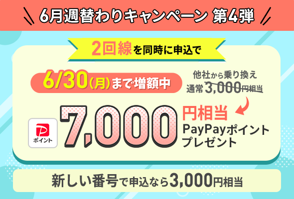 2回線まとめて申し込みでPayPayポイントプレゼントキャンペーン