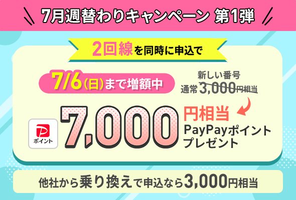 2回線まとめて申し込みでPayPayポイントプレゼントキャンペーン