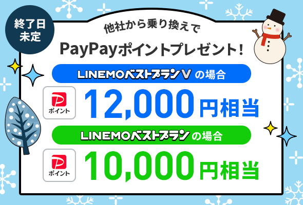 PayPayポイントプレゼントキャンペーン