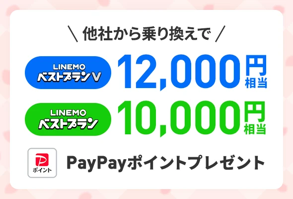 PayPayポイントプレゼントキャンペーン
