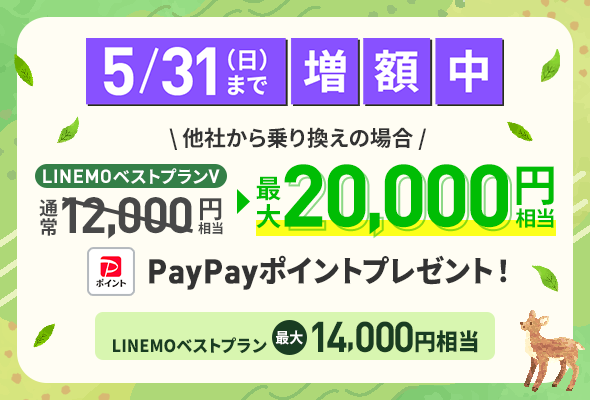 PayPay増額キャンペーン（2026年5月開催）