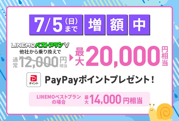 PayPay増額キャンペーン（2026年6月開催）