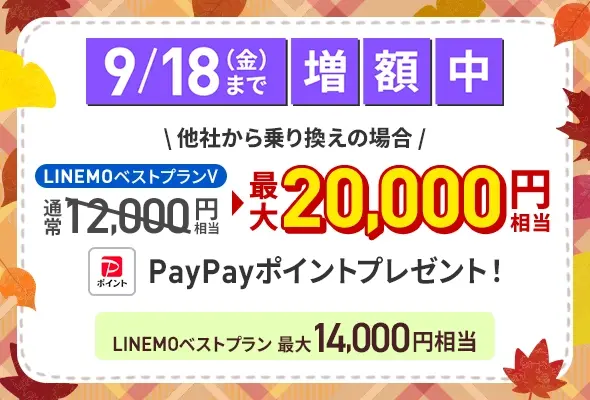 PayPay増額キャンペーン（2026年9月2週目開催）