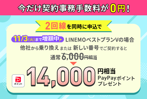 2回線まとめて申し込みでPayPayポイントプレゼントキャンペーン