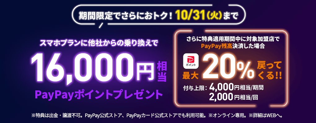 スマホプランフィーバータイム