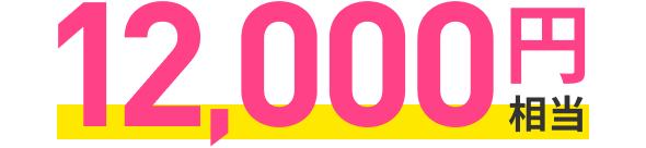 12,000円相当